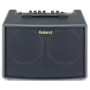 ROLAND AC-60